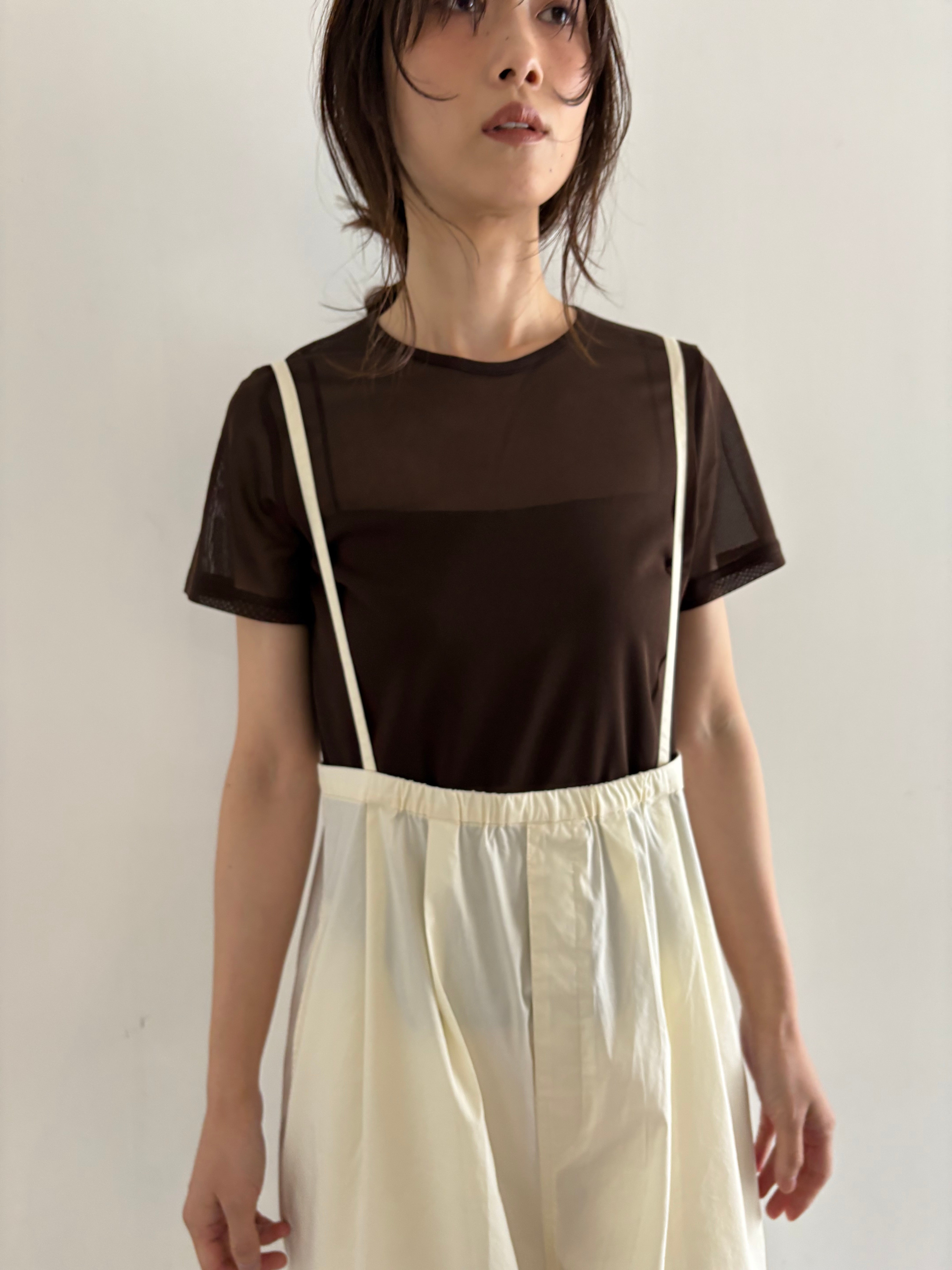 short sleeve sheer T
