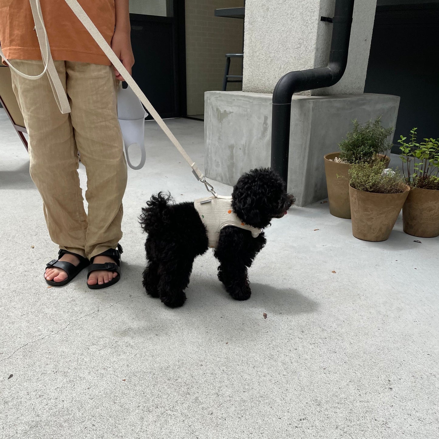 linen soft harness reed