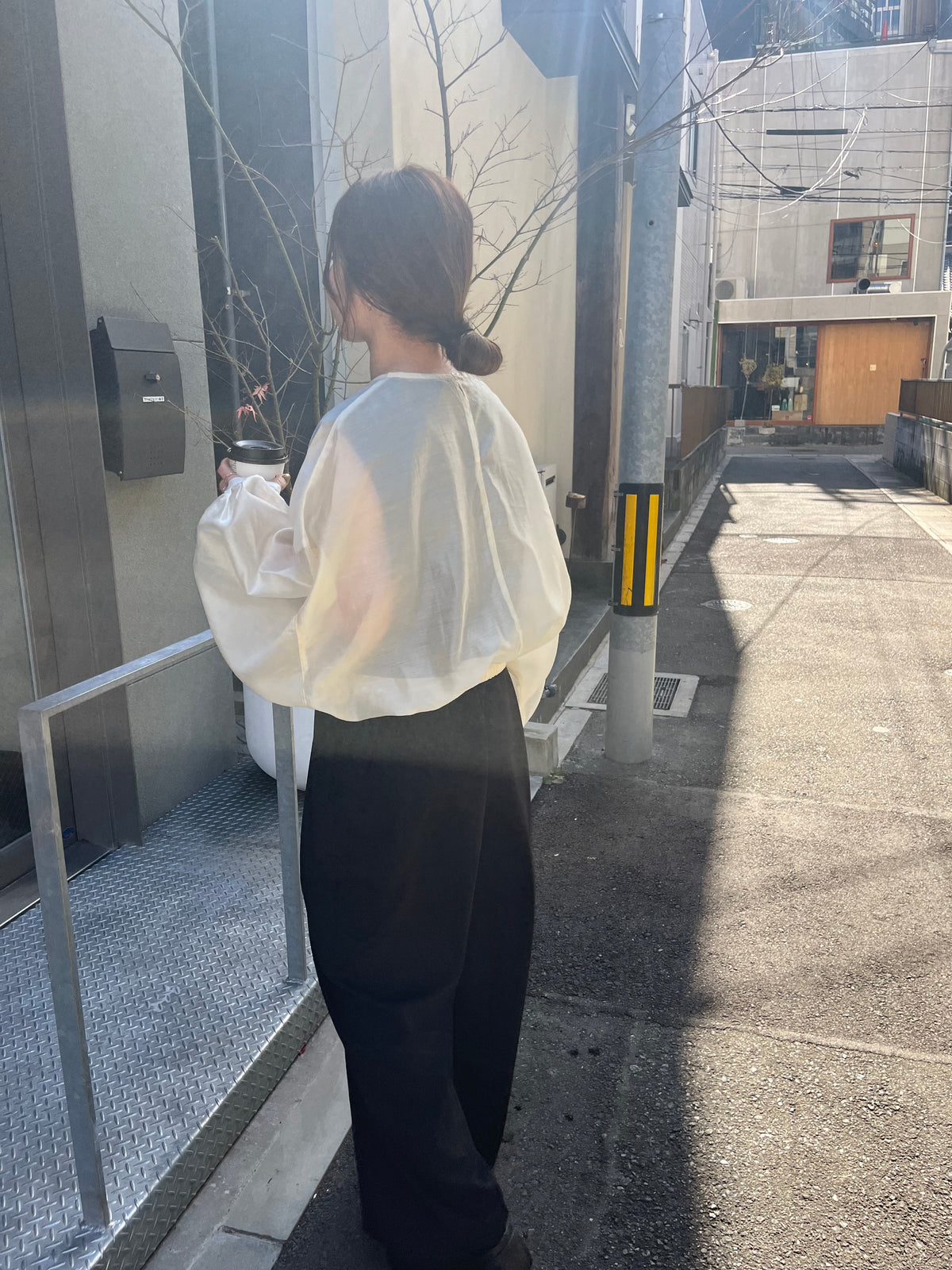 sheer balloon blouse