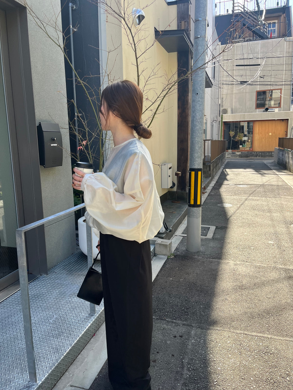 sheer balloon blouse　